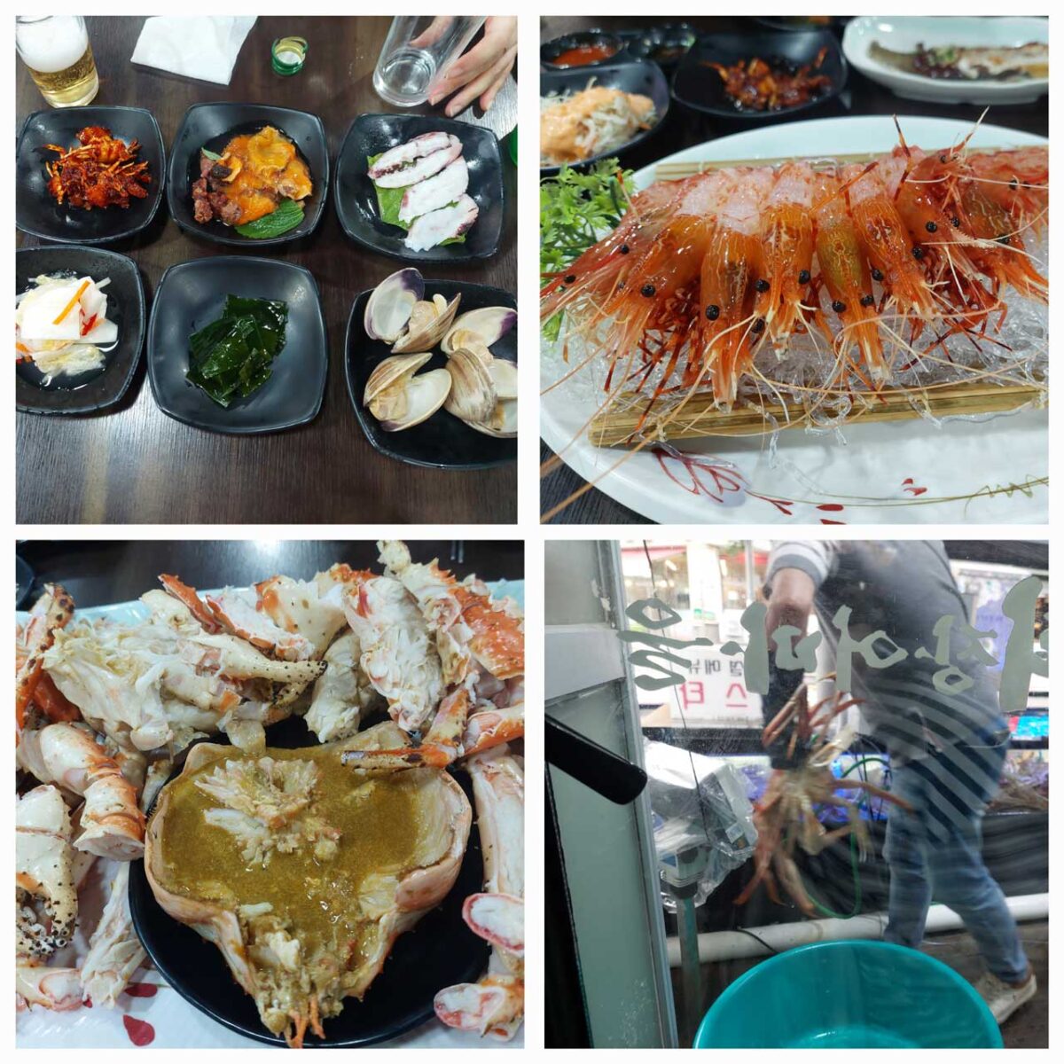 킹크랩과 독도새우